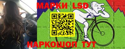 mdpv Новокубанск
