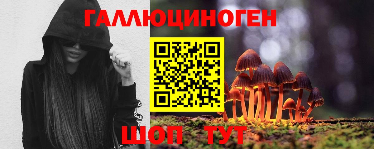 Псилоцибиновые грибы Psilocybe Краснотурьинск