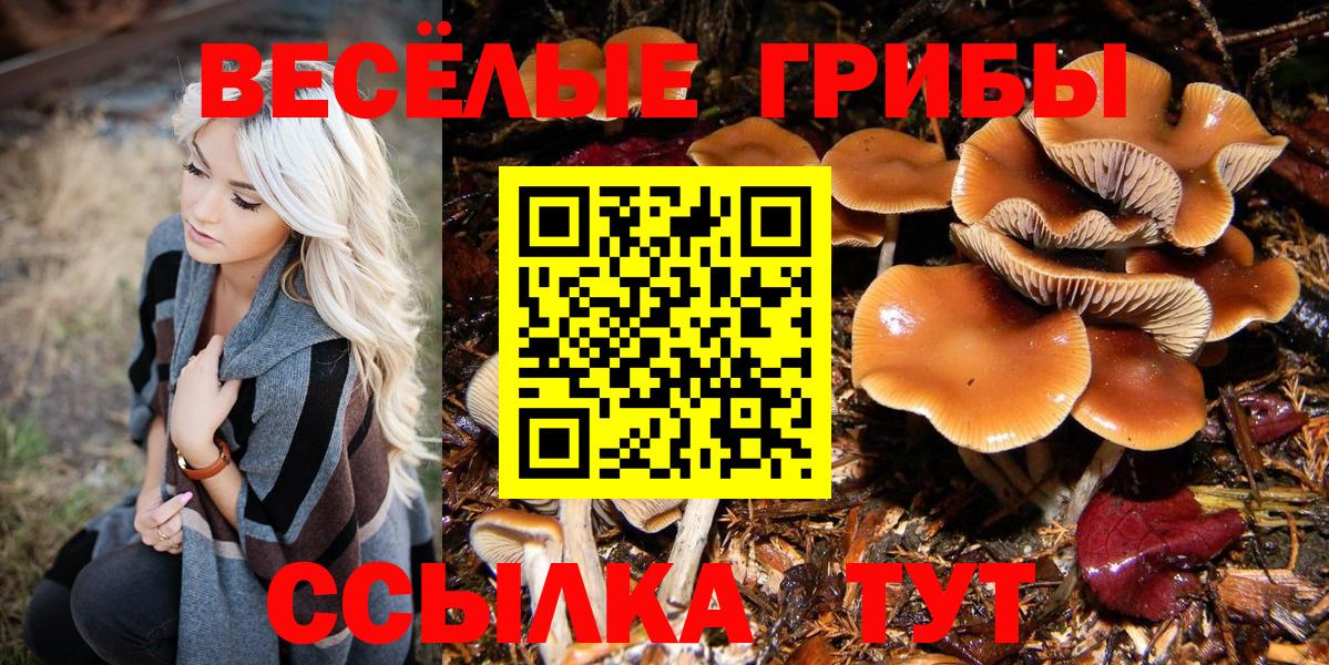 Краснотурьинск  Псилоцибиновые грибы ЛСД  Вход с VPN 